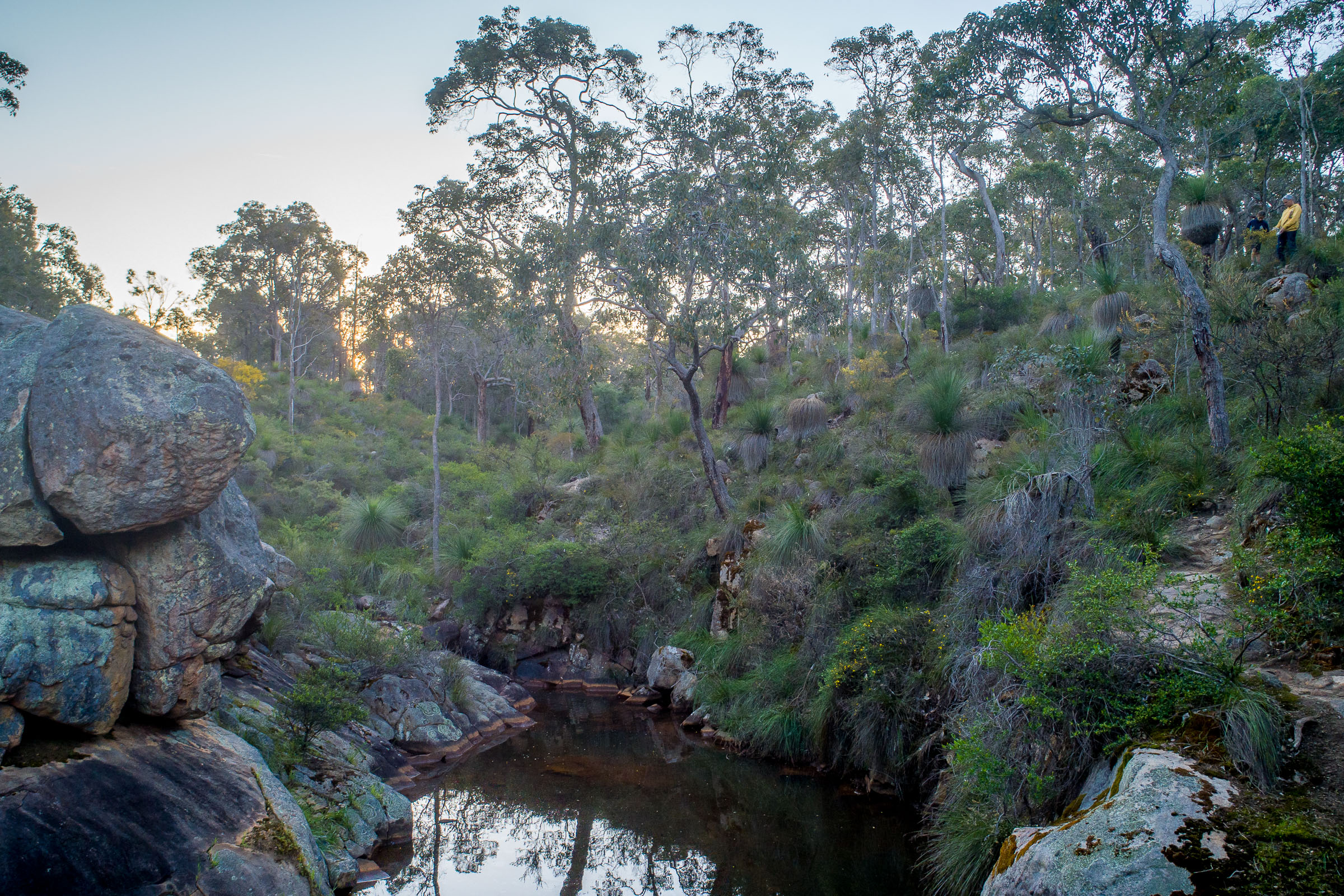 Winter creek